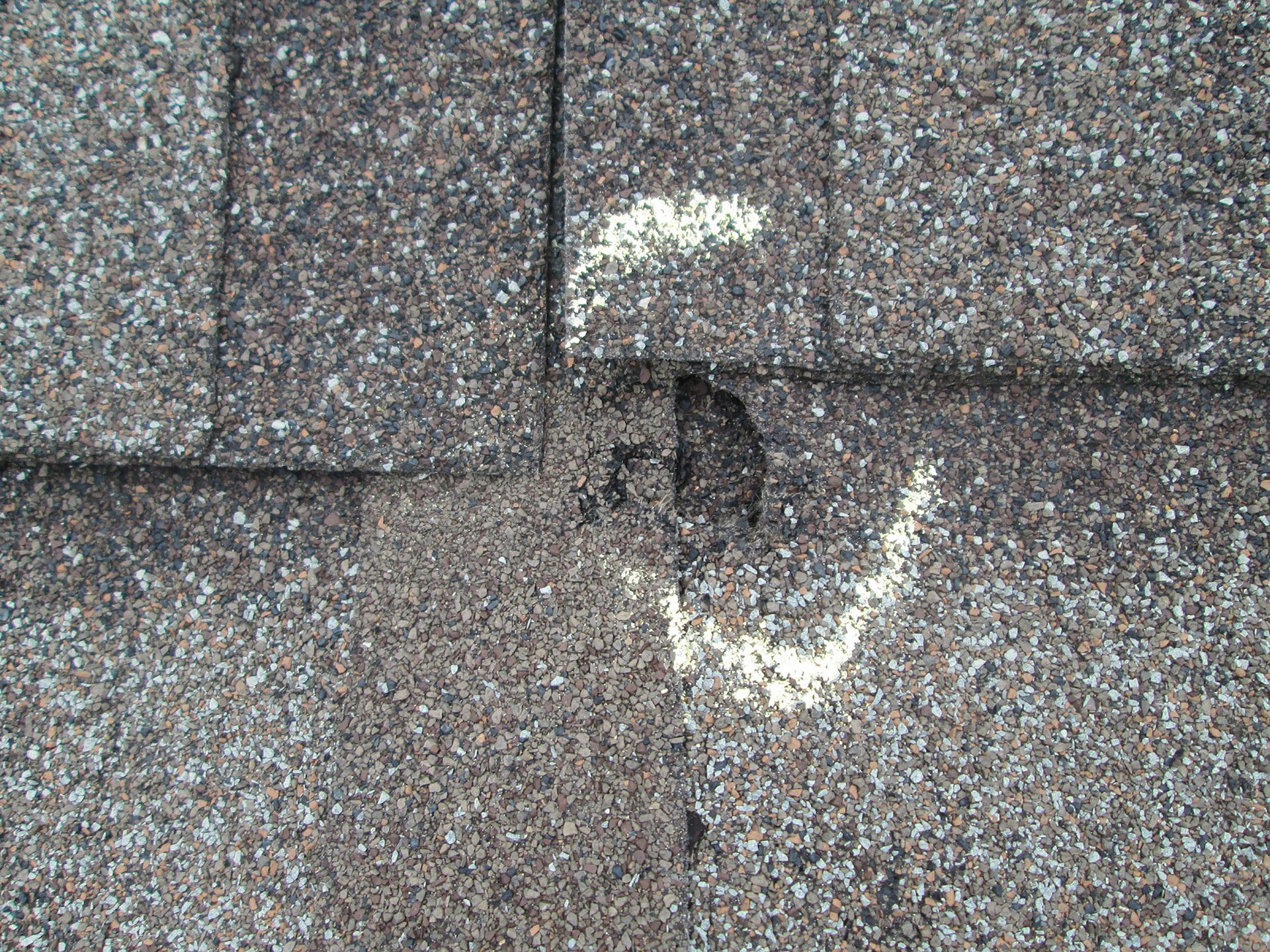 Roof Shingle Hail Damage